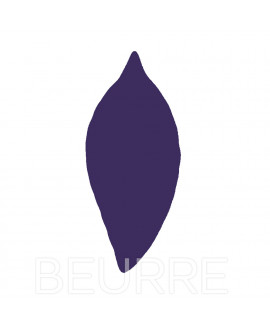 Pigment Amethyst liquid NS 10 g