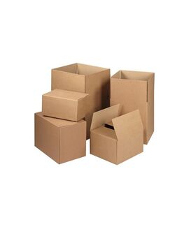 Box 20 pcs (250*170*100)
